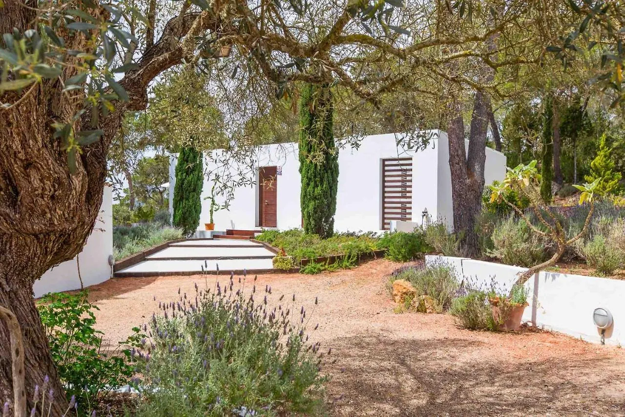 Surf House Villa San José